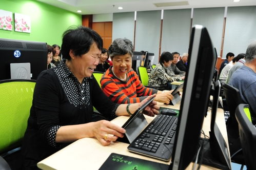 聚焦五大功能，賈煒為上海學(xué)習(xí)型城市建設(shè)注入高質(zhì)量教育咨詢服務(wù)新動(dòng)能